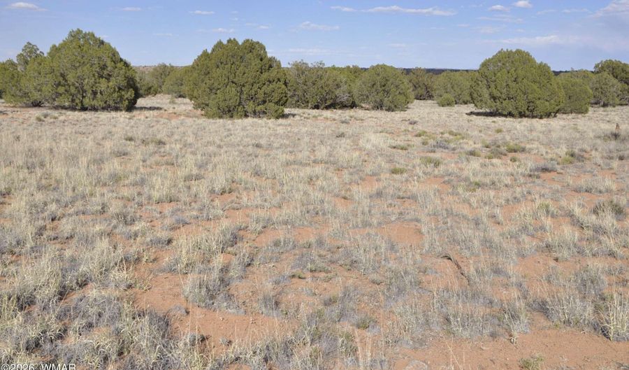 176 CR N5549, Concho, AZ 85924 - 0 Beds, 0 Bath