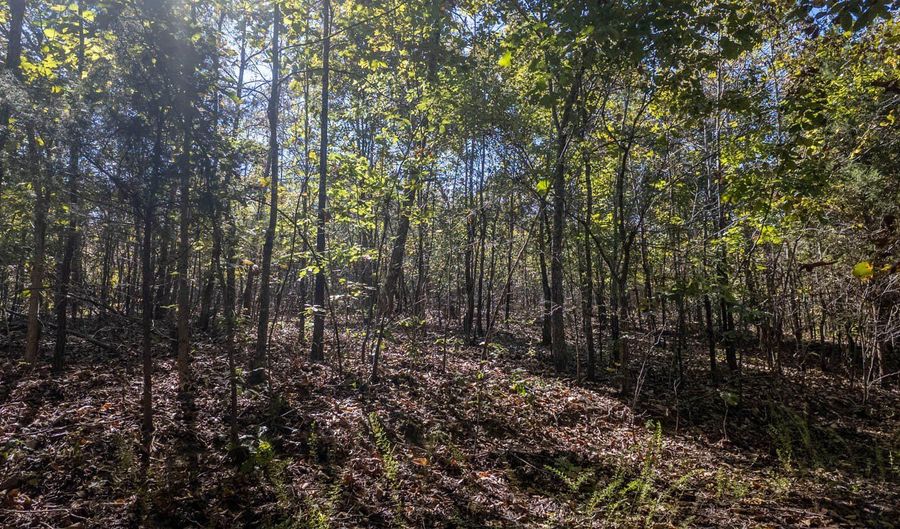 County Road 204, Alton, MO 65606 - 0 Beds, 0 Bath