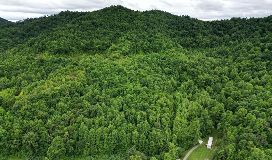 9999 King Fork Rd, Barbourville, KY 40906 - 0 Beds, 0 Bath