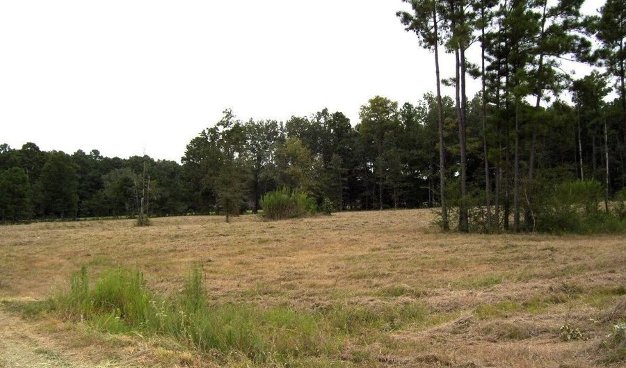 1665 Peyton Ave, Ashdown, AR 71822 - 0 Beds, 0 Bath