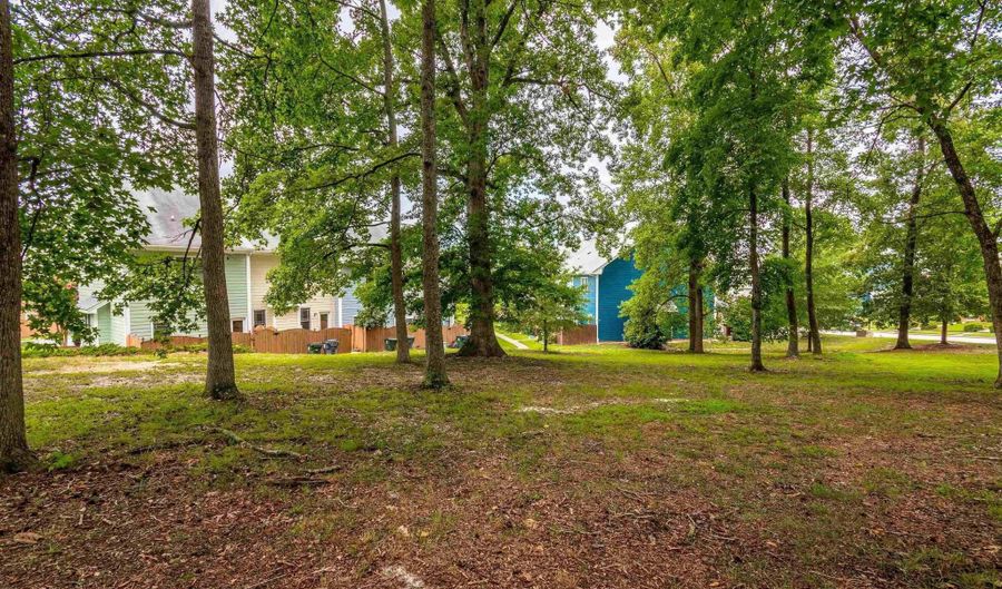 1041 Mica Lamp Ct, Apex, NC 27502 - 2 Beds, 3 Bath