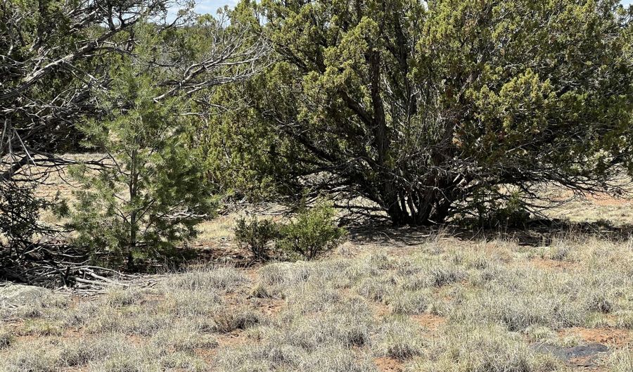 Tbd County Road 8309, Concho, AZ 85924 - 0 Beds, 0 Bath