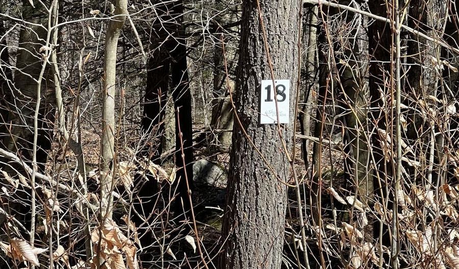 Skyline Ridge Rd lot 18, Becket, MA 01223 - 0 Beds, 0 Bath