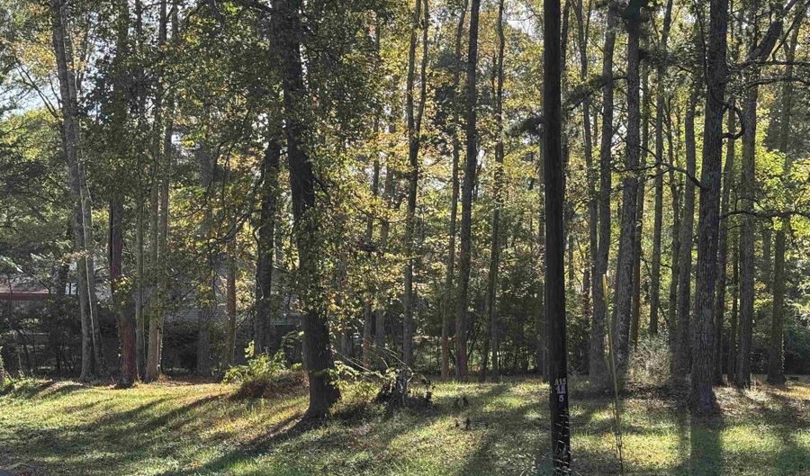 Lot 6 2nd Street NE, Arab, AL 35016 - 0 Beds, 0 Bath