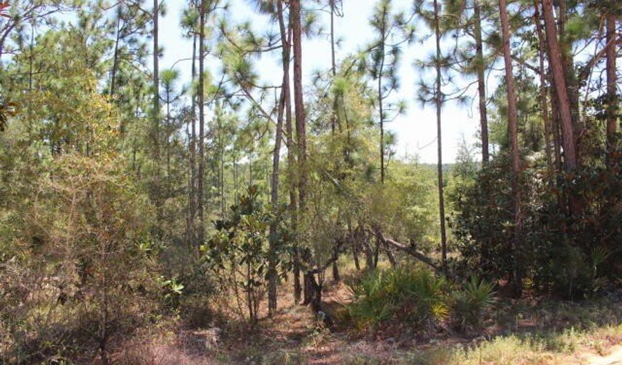 Sycamore Street, Alford, FL 32420 - 0 Beds, 0 Bath