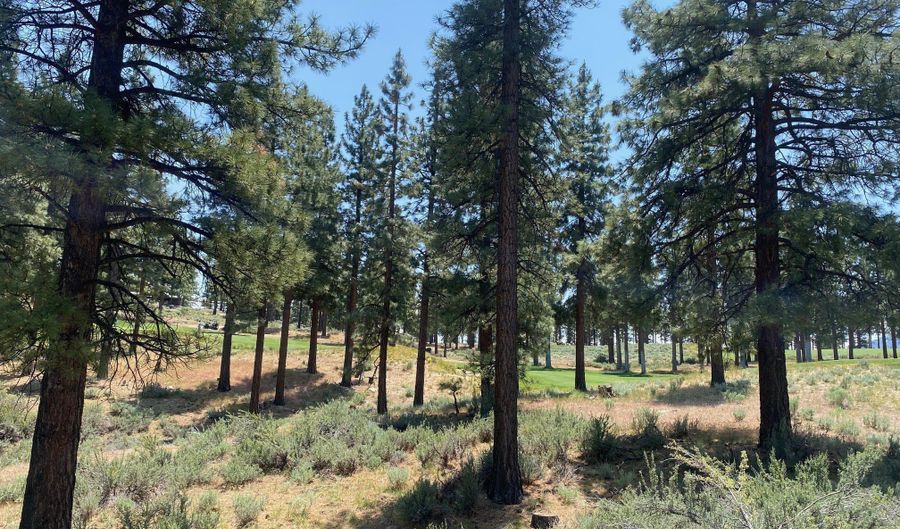 245 Redding Way 226, Carson City, NV 89705 - 0 Beds, 0 Bath