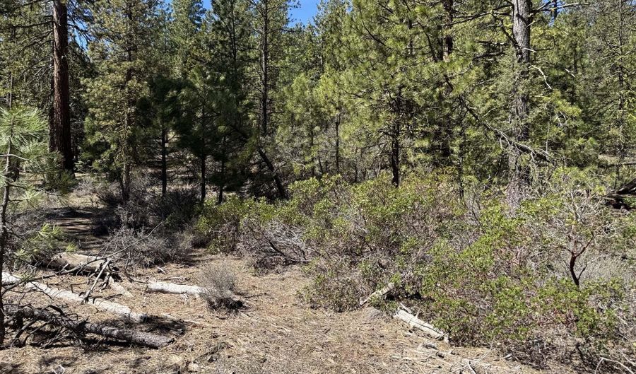 Horned Owl Way 385461, Bonanza, OR 97623 - 0 Beds, 0 Bath