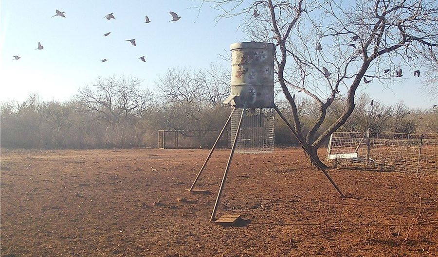 CR 145 & CR 173, Alice, TX 78332 - 0 Beds, 0 Bath