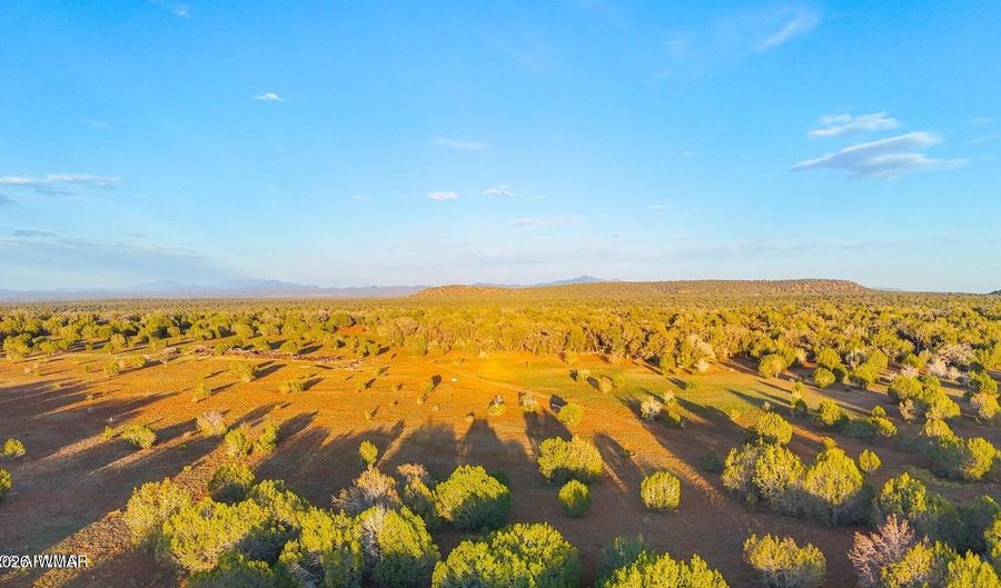 N SIX SHOOTER TRL 20 ACRES, Ash Fork, AZ 86320 - 0 Beds, 0 Bath