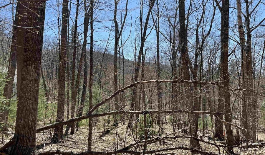 Tobey Road H-16, Campton, NH 03223 - 3 Beds, 3 Bath