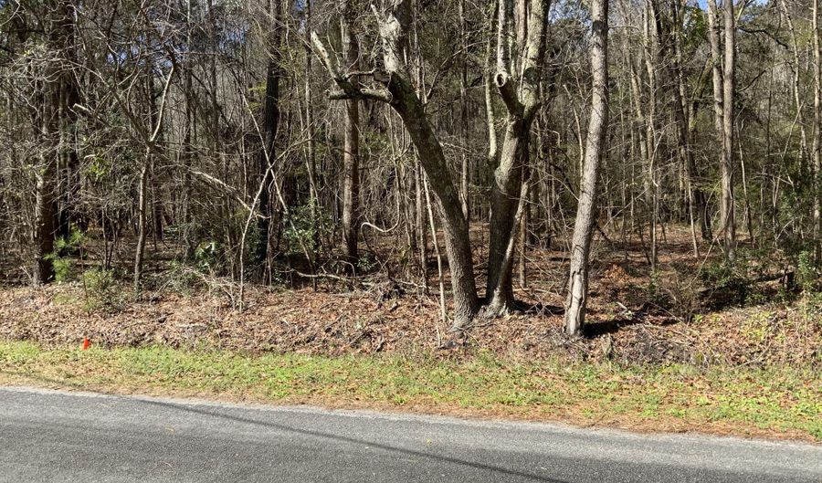 5037 Doctor Taylor Rd, Adams Run, SC 29426 - 0 Beds, 0 Bath