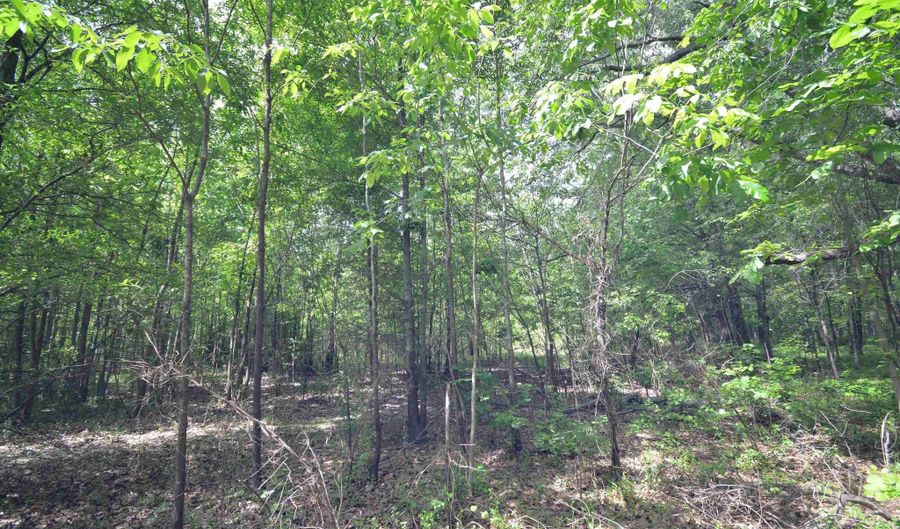 135 Worden Rd, Bald Knob, AR 72010 - 0 Beds, 0 Bath