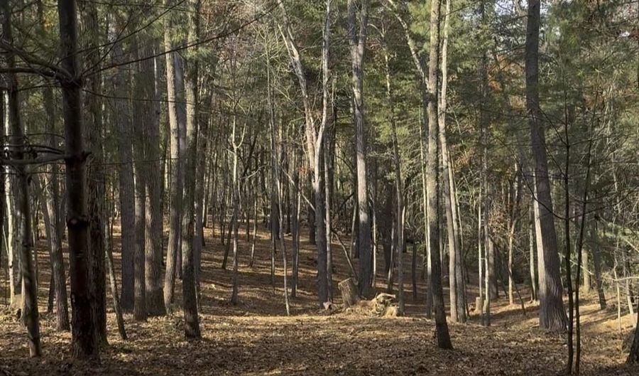 Cedar Hill Drive unit 24 24, Asheville, NC 28803 - 0 Beds, 0 Bath