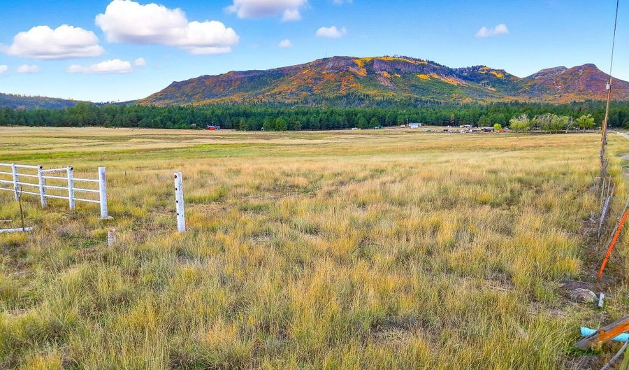 ALPINE UNSUBDIVIDE, Alpine, AZ 85920 - 0 Beds, 0 Bath