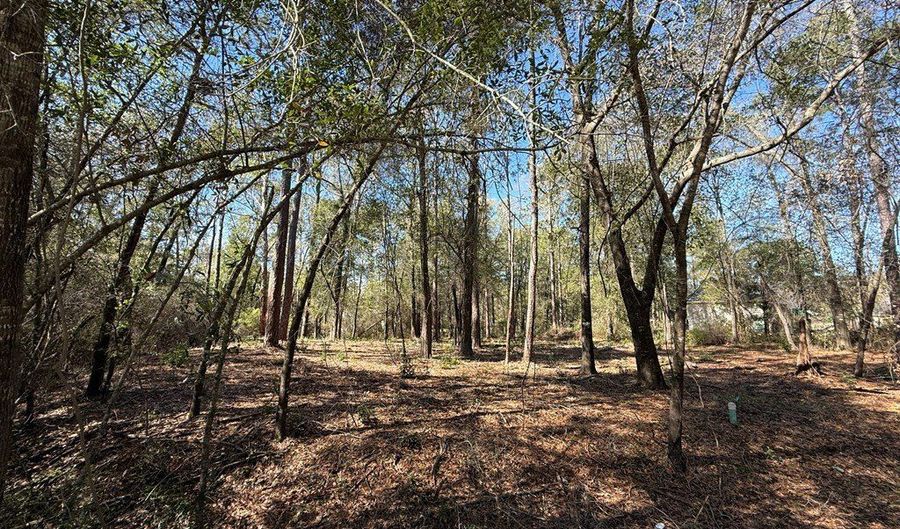 Knollwood lot 4C, Bainbridge, GA 39819 - 0 Beds, 0 Bath