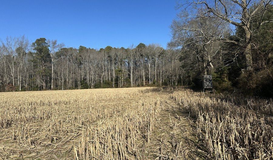 0 Bivalve Lodge Rd, Bivalve, MD 21814 - 0 Beds, 0 Bath