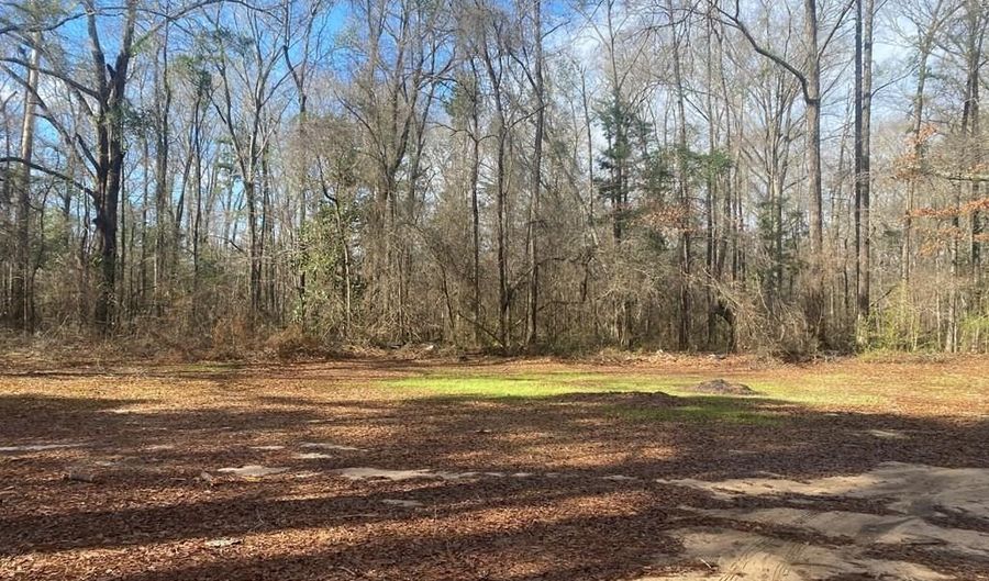 3481 County Rd 81, Abbeville, AL 36310 - 0 Beds, 0 Bath