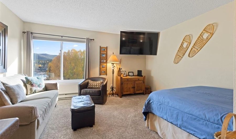 110 S PARK Ave 128, Breckenridge, CO 80424 - 0 Beds, 1 Bath