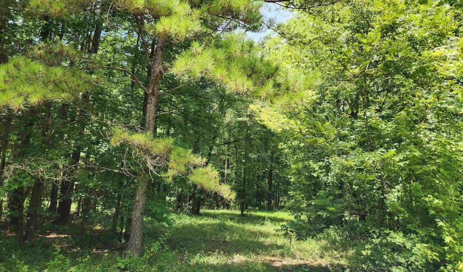 2262 SMOKEY Rd, Alabaster, AL 35007 - 3 Beds, 2 Bath