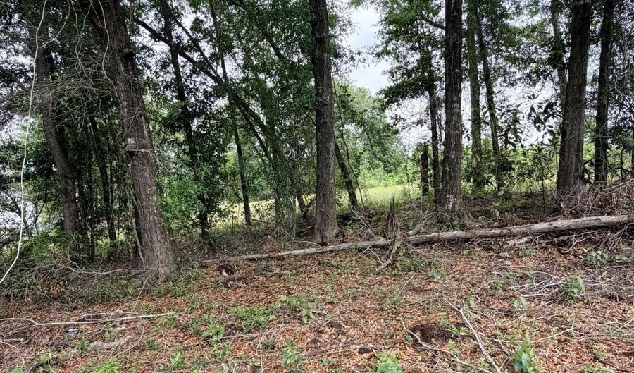 Mona Lane, Alford, FL 32420 - 0 Beds, 0 Bath