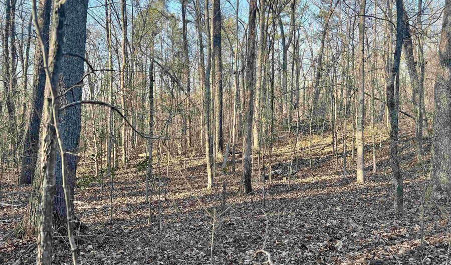 0009 SPRINGHOLLOW Rd Lot 9, Ashville, AL 35953 - 0 Beds, 0 Bath