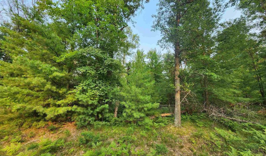 Lot 98 Wilderness, Alger, MI 48610 - 0 Beds, 0 Bath