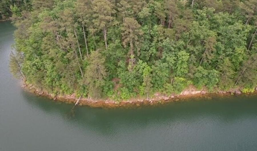 LOT # 5 RON THAMES DR, Arley, AL 35541 - 0 Beds, 0 Bath