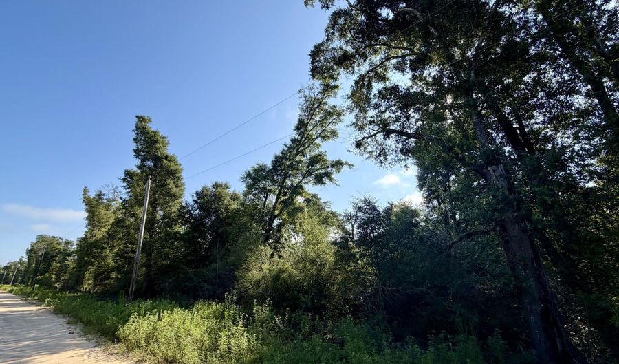 Sorrento Avenue lot 20-22, Alford, FL 32420 - 0 Beds, 0 Bath