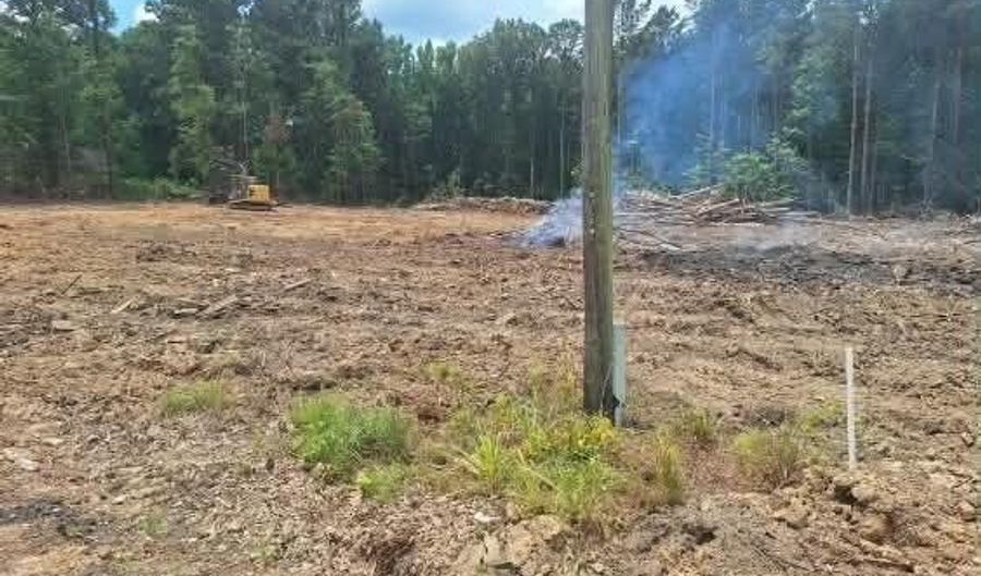 709 Old Pinola Braxton Rd, Braxton, MS 39044 - 0 Beds, 0 Bath