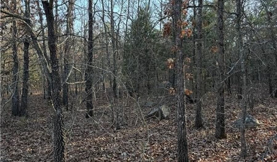 Tract 2 Rural Atoka, Atoka, OK 74525 - 0 Beds, 0 Bath