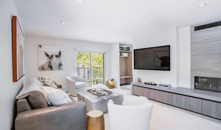 210 E Cooper Avenue 3G, Aspen, CO 81611 - 2 Beds, 2 Bath