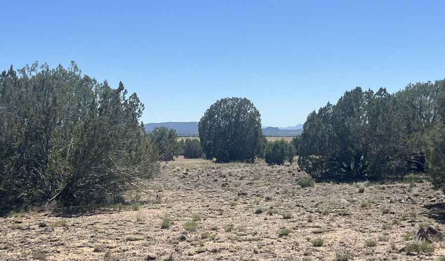 310 Un Named Rd, Ash Fork, AZ 86320 - 0 Beds, 0 Bath