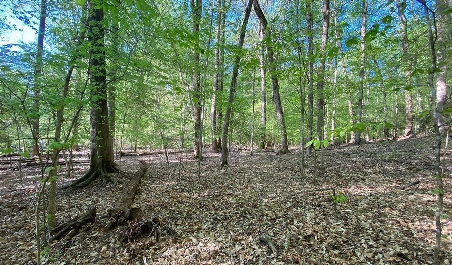 HIDDEN VALLEY Road, Accokeek, MD 20607 - 0 Beds, 0 Bath