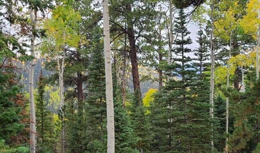 Ponderosa West Village, Beaver, UT 84713 - 0 Beds, 0 Bath