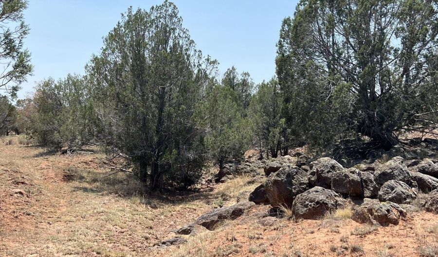 164 Rattlesnake Rd, Ash Fork, AZ 86320 - 0 Beds, 0 Bath