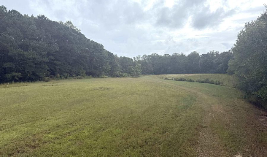 878 Lowery Rd NE, Arab, AL 35016 - 0 Beds, 0 Bath