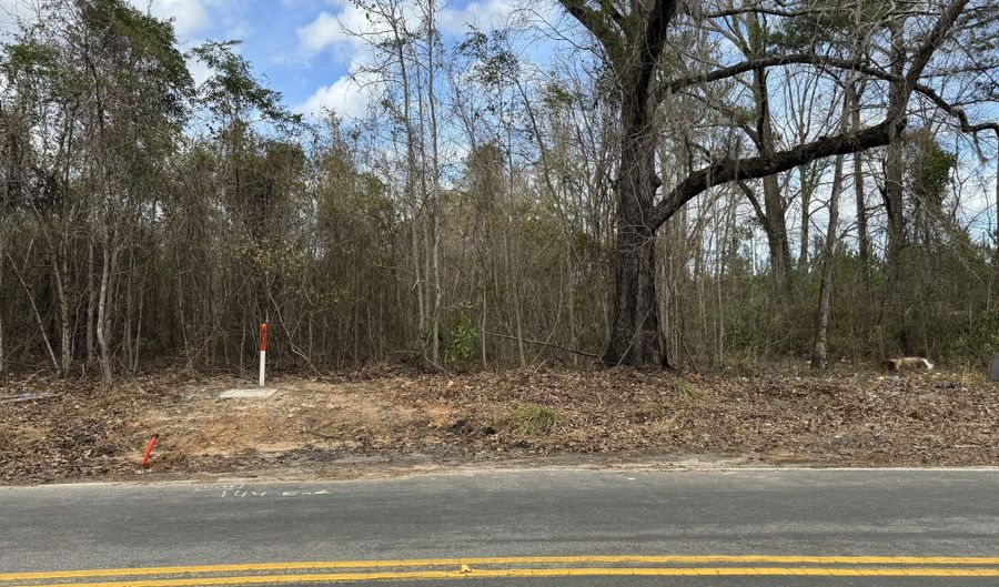 5510 Mauss Hill Rd, Adams Run, SC 29426 - 0 Beds, 0 Bath