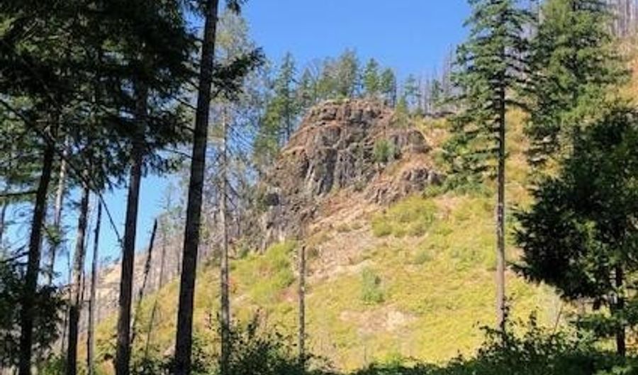 91591 Blue River Reservoir Rd, Blue River, OR 97413 - 0 Beds, 0 Bath