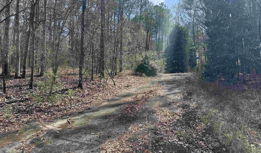 Lot 0 Dearmanville Road, Anniston, AL 36207 - 0 Beds, 0 Bath