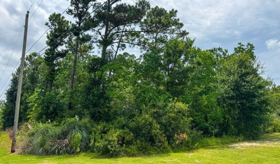 Hibiscus Drive, Bay St. Louis, MS 39520 - 0 Beds, 0 Bath