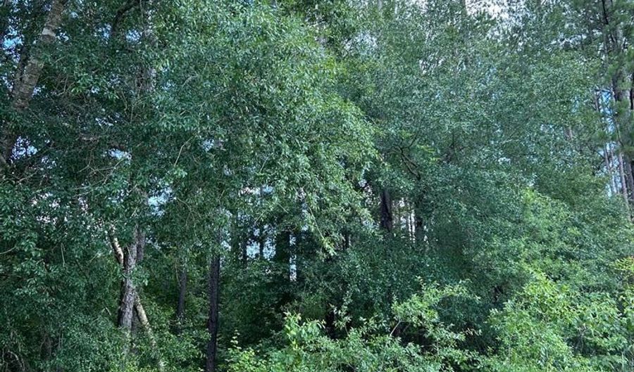 Crestview Dr lot 38, Abbeville, GA 31001 - 0 Beds, 0 Bath