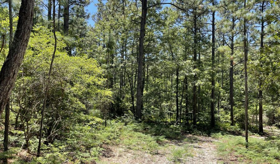 1416 Herndon Dairy Rd, Aiken, SC 29803 - 0 Beds, 0 Bath