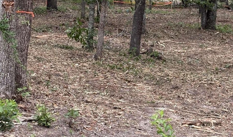 Lot 1 Quattlebaum Drive, Leesville, SC 29070 - 0 Beds, 0 Bath