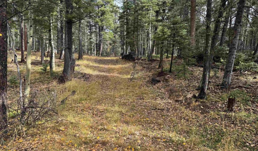 Vermejo Cir lot 15, Angel Fire, NM 87710 - 0 Beds, 0 Bath