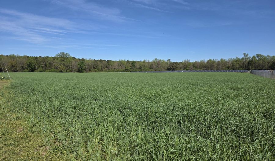 N Nc 111 And 903 Hwy, Albertson, NC 28508 - 0 Beds, 0 Bath