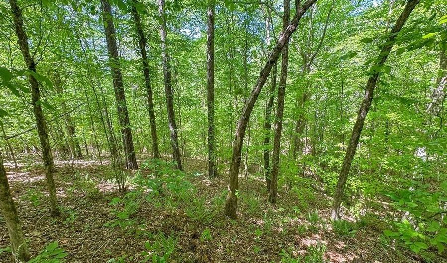 HWY 22, Alexander City, AL 35010 - 0 Beds, 0 Bath