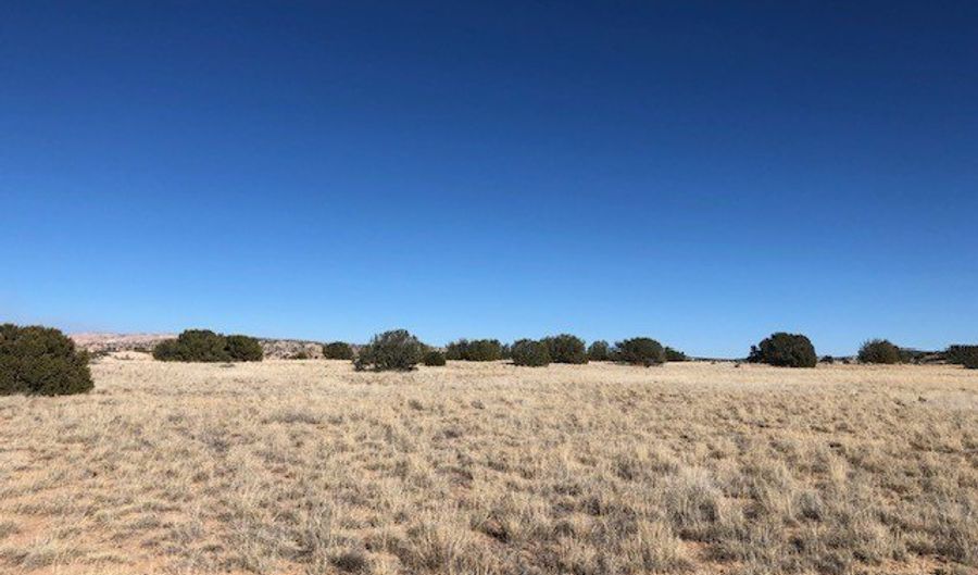 0 6 Acre Buffalo Trl, Abiquiu, NM 87510 - 0 Beds, 0 Bath