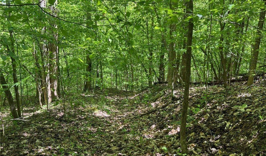 0 Crooked Creek Rd, Alum Creek, WV 25309 - 0 Beds, 0 Bath