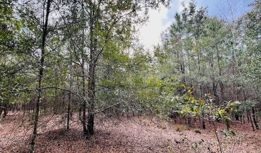 85 Th St, Bell, FL 32619 - 0 Beds, 0 Bath