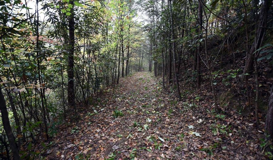 Tbd McLean Road, Andrews, NC 28901 - 0 Beds, 0 Bath